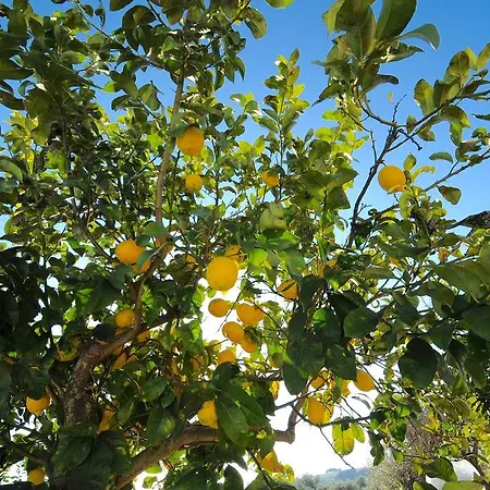 Vendicari Casa A Noto Eloro Vendicari Prázdninový dům