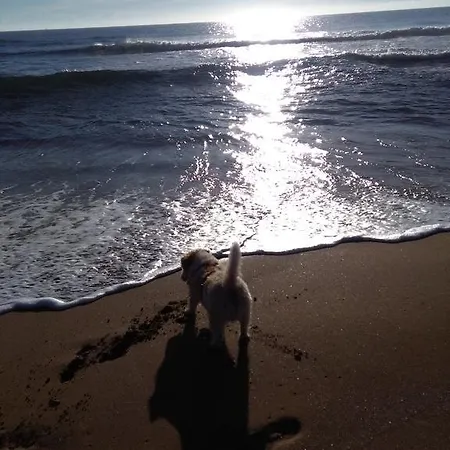 Vendicari Casa A Noto Eloro Vendicari *