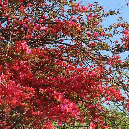 Vendicari Casa A Noto Eloro Vendicari Prázdninový dům Lido di Noto